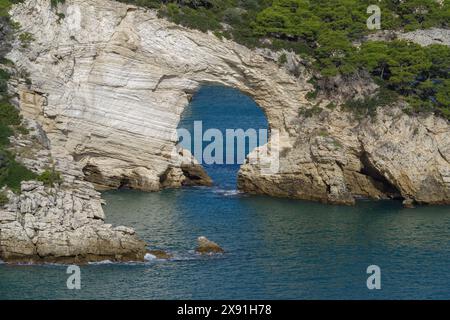 Architiello rocher, baie de San Felice, côte entre Mattinata et Vieste, Parc National du Gargano, Pouilles, Italie Banque D'Images