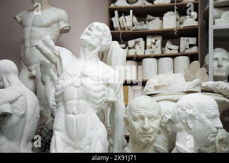 Sculptures anatomiques pour l'enseignement du dessin. modèles de tête et de buste de gypse pour la formation de dessin d'artiste Banque D'Images