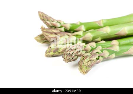 Une vue rapprochée de plusieurs lances d'asperges vertes fraîches soigneusement empilées sur un fond blanc, mettant en valeur leur couleur et leur texture vibrantes. Banque D'Images