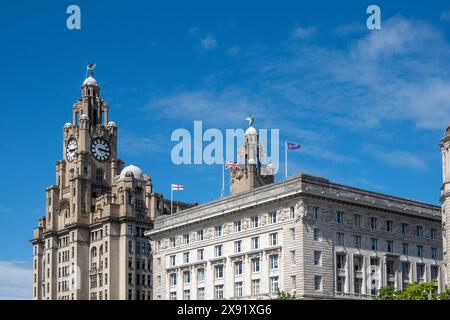 Liver Birds, Bella and Bertie, au sommet des deux tours de l'horloge sur le Royal Liver Building, l'un des trois Graces de Liverpool Banque D'Images