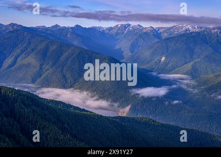 Bailey Range Mountains et drainage de la rivière Elwha depuis Hurricane Hill Trail dans Olympic Natioanl Park, Washington, États-Unis. Banque D'Images