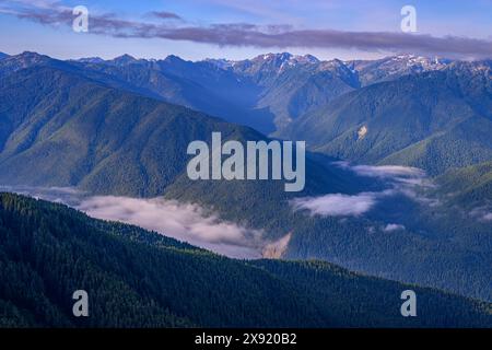 Bailey Range Mountains et drainage de la rivière Elwha depuis Hurricane Hill Trail dans Olympic Natioanl Park, Washington, États-Unis. Olympic National Park Washington Banque D'Images