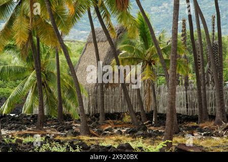 Pu uhonua O Honaunau National Historical Park, South Kona, Grande île d'Hawaï. Puuhonua O Honaunau National Historical Park Hawaii USA Copyright : XG Banque D'Images