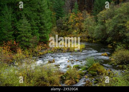 North Fork Middle Fork de la Willamette River Willamette National Forest, Oregon. Oregon USA Copyright : xGregxVaughnx/xVWPicsx GV18100666 Banque D'Images