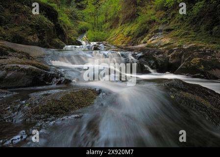 Cascades sur Sweet Creek dans les montagnes Coast Range de l'Oregon. Oregon USA Copyright : xGregxVaughnx/xVWPicsx GV16051262 Banque D'Images