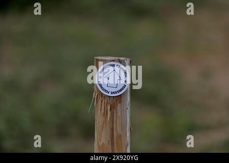 L'invention concerne un panneau de signalisation pour un sentier pédestre permissif constitué d'une flèche de direction sur une base blanche ronde fixée à un poteau en bois pointant vers le haut Banque D'Images