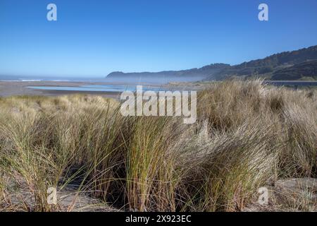 Meyer's Creek Beach se trouve sur la côte sud de l'Oregon, et est l'une des plages les plus pittoresques de la côte ouest. Banque D'Images