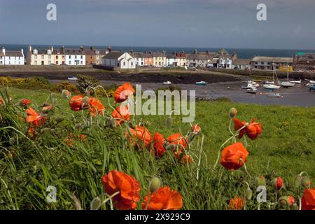 Isle de Whithorn Bay & St Ninians, Dumfries et Galloway, Écosse Banque D'Images