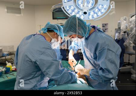 Bilan au CHU de Nice, CHU Pasteur, pour une prostatectomie radicale avec dissection ganglionnaire chez un patient de 66 ans atteint de cancer de la prostate à haut risque selon la classification d Amico. Ici, incision FRANCE. Prostatectomie laparoscopique assistée par le robot da vinci 015809 009 Banque D'Images