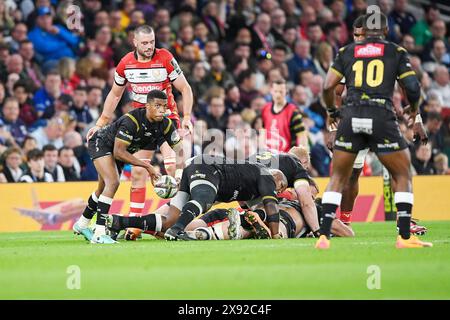 Sharks Scrum-Half Grant Williams (9 ans) lors de l'European Rugby Challenge Cup, finale de rugby à xv entre Gloucester Rugby et Hollywoodbets Sharks le 24 mai 2024 au Tottenham Hotspur Stadium à Londres, en Angleterre Banque D'Images