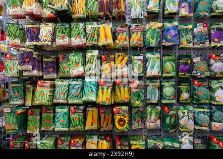 Les graines de légumes dans des sacs en papier sont vendues dans le magasin. Graines de plantes - légumes, fruits, salades, herbes dans le magasin. Minsk, Biélorussie - 29 mai 20 Banque D'Images