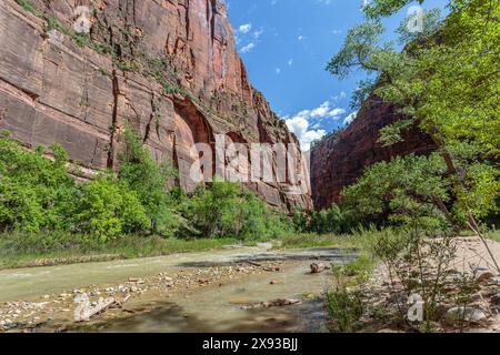 Virgin River s'étend entre des formations rocheuses de grès le long de Riverside Walk dans la zone Temple of Sinawava du parc national de Zion, Utah Banque D'Images