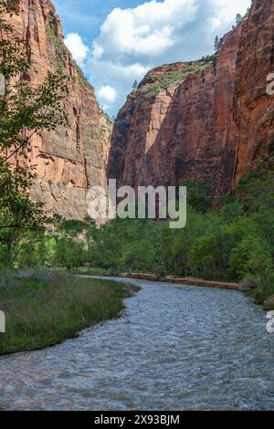 Virgin River s'étend entre des formations rocheuses de grès le long de Riverside Walk dans la zone Temple of Sinawava du parc national de Zion, Utah Banque D'Images