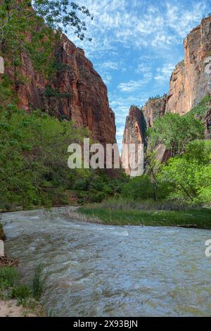 Virgin River s'étend entre des formations rocheuses de grès le long de Riverside Walk dans la zone Temple of Sinawava du parc national de Zion, Utah Banque D'Images