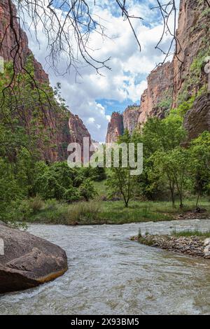 Virgin River s'étend entre des formations rocheuses de grès le long de Riverside Walk dans la zone Temple of Sinawava du parc national de Zion, Utah Banque D'Images