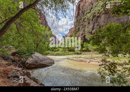 Virgin River s'étend entre des formations rocheuses de grès le long de Riverside Walk dans la zone Temple of Sinawava du parc national de Zion, Utah Banque D'Images