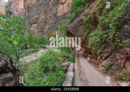 Une grande formation rocheuse de grès surplombe le Riverside Walk dans le parc national de Zion, Utah Banque D'Images