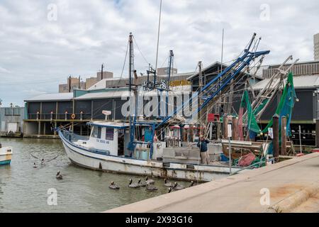 Bateaux de pêche commerciale amarrés à côté de Katie's Seafood House sur le canal de Galveston à Glaveston, Texas Banque D'Images