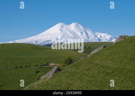 Mont Elbrus enneigé dans un paysage d'été par un matin ensoleillé de juin. Kabardino-Balkaria, Fédération de Russie Banque D'Images