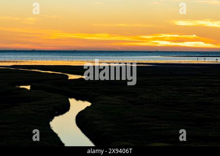 Les zones humides de Gaomei au coucher du soleil. Bord de mer, rivière, nuages roses, un beau paysage. Banque D'Images