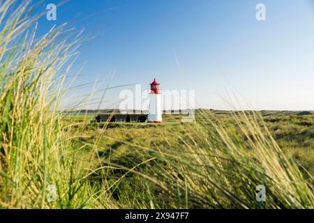 14. 05. 2024 Sylt Der weiße Leuchtturm List West auf der Sylter Halbinsel Ellenbogen ist der älteste Leuchtturm an der Westküste Schleswig-Holsteins Sylt Schleswig Holstein Deutschland *** 14 05 2024 Sylt le phare White List West sur la péninsule d'Ellenbogen de Sylt est le plus ancien phare de la côte ouest du Schleswig Holstein Sylt Schleswig Holstein Allemagne Banque D'Images