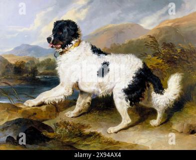 Sir Edwin Henry Landseer, Lion : a Newfoundland Dog, portrait peint à l'huile sur toile, 1824 Banque D'Images