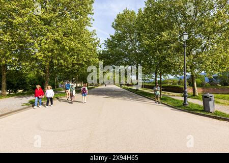 Les gens marchent sur un chemin sur les anciens remparts de la ville médiévale historique de Lucques en Toscane, Italie par une journée ensoleillée avec des arbres et de l'herbe. Banque D'Images