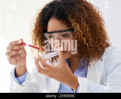 Femme, scientifique et adn en boîte de Pétri pour l'expérience scientifique, l'échantillon et la recherche. Soins de santé, développement et analyse pour étude médicale ou Banque D'Images