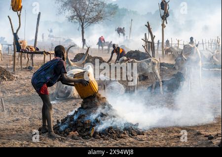 Jeune garçon collectant de la bouse de vache, tribu Mundari, Soudan du Sud, Afrique Banque D'Images