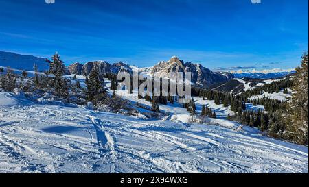 Paysage hivernal enneigé avec arbres et sommets, Dolomites, Italie, Europe Banque D'Images