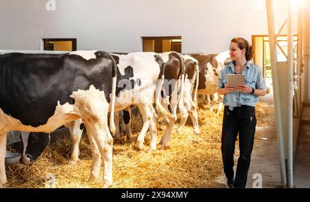 Femme d'affaires moderne agriculteur d'animaux visite sa ferme. Éleveuse de bétail. Banque D'Images