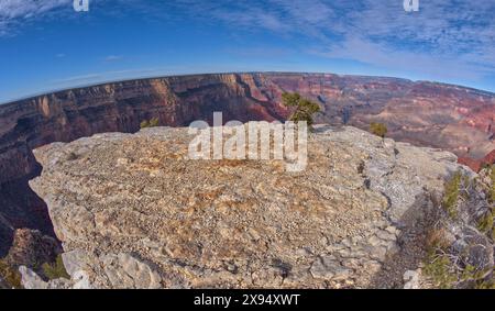 Une plate-forme rocheuse sous les falaises du Great Mohave Wall Overlook au Grand Canyon, Arizona, États-Unis d'Amérique, Amérique du Nord Banque D'Images