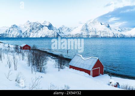 Vue surélevée de rorbu rouge typique sur la rive du fjord entouré de sommets enneigés le matin, Djupvik, Olderdalen, fjord Lyngen, Norvège Banque D'Images