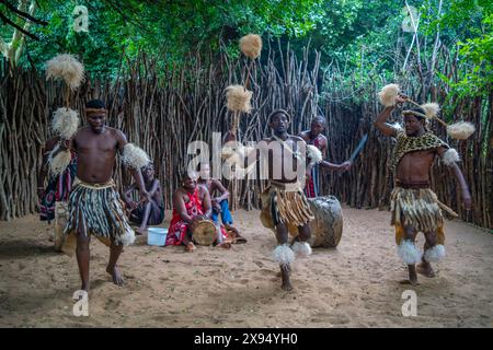 Vue de la danse traditionnelle zoulou et de la musique au Ghost Mountain Inn, Mkuze, province du KwaZulu-Natal, Afrique du Sud, Afrique Banque D'Images
