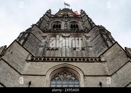 Tour de l'église gothique la Grande église gothique de Breda est un monument monumental vu à des kilomètres autour. Breda, pays-Bas. Breda Binenstad Noord-Brabant Nederland Copyright : xGuidoxKoppesxPhotox Banque D'Images