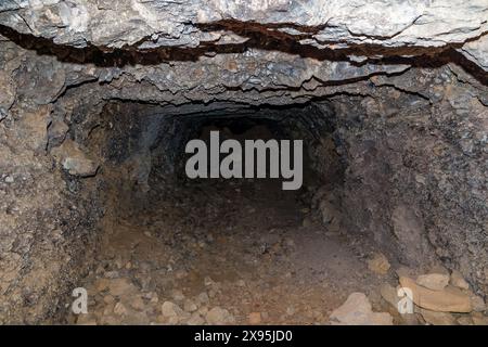 Restes envahis par la végétation d'un tunnel menant à un emplacement de mitrailleuses japonaises de la seconde Guerre mondiale sur Gili Trawangan, Indonésie Banque D'Images