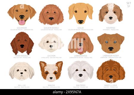 Designers tête de chien dans l'ordre alphabétique. Toutes les races de chiens mélangées. Conception vectorielle de couleur. Illustration vectorielle Illustration de Vecteur