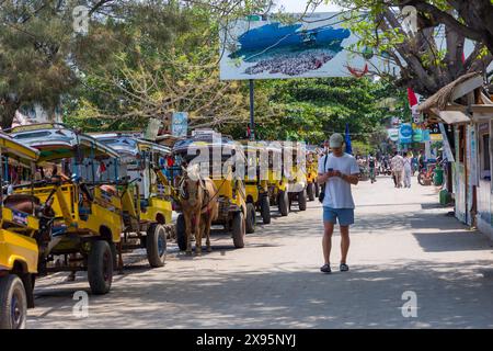 Des charrettes à chevaux traditionnelles (Cidomo) attendent à côté du port sur la rue principale de l'île Gili Trawangan à In Banque D'Images