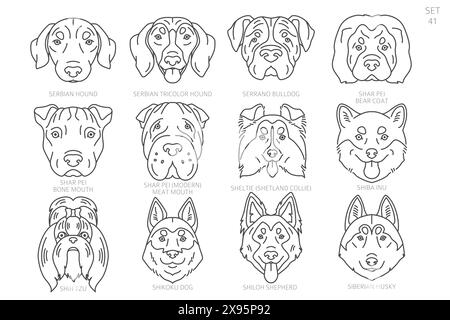 Silhouettes de tête de chien dans l'ordre alphabétique. Toutes races de chiens. Conception vectorielle de ligne simple. Illustration vectorielle Illustration de Vecteur
