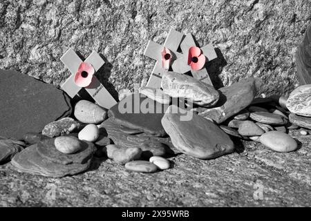 Angleterre, Devon, Slapton Sands, monument américain aux populations locales impliquées dans la formation au débarquement en Normandie en 1944 (coquelicots et galets) Banque D'Images