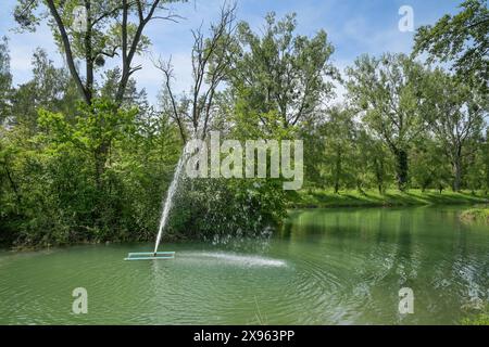 Angelweiher im Wald BEI Burkheim am Kaiserstuhl, Bade-Württemberg, Deutschland Banque D'Images