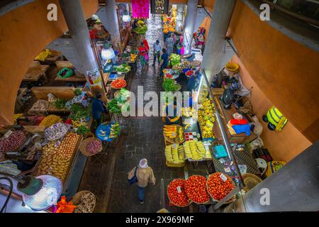 Vue des étals de produits et de marché au marché central de Port Louis, Port Louis, Maurice, Océan Indien, Afrique Banque D'Images