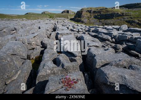 Chaussée calcaire au-dessus de Watlowes Dry Valley, près de Malham, Yorkshire Dales National Park, Yorkshire, Angleterre, Royaume-Uni, Europe Banque D'Images