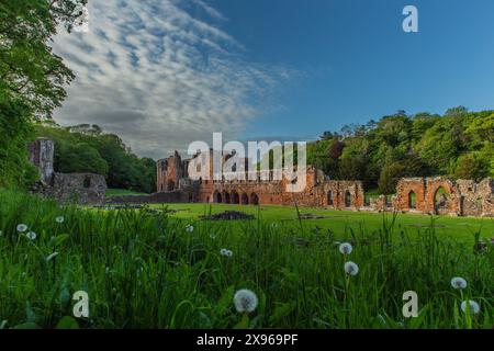 Abbaye de Furness, Barrow in Furness, Cumbria, Angleterre, Royaume-Uni, Europe Banque D'Images