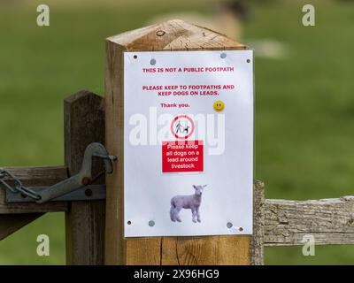 Gardez les chiens sur les pistes avis d'avertissement sur le poteau de porte au champ avec des agneaux nouveau-nés, Leicestershire, Angleterre, Royaume-Uni Banque D'Images