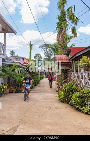 El Castillo , Nicaragua - 11 mars 2024 : homme transportant de la nourriture sur son vélo le long de la route principale dans le village d'El Castillo le long de la rivière San Juan au Nicaragua Banque D'Images