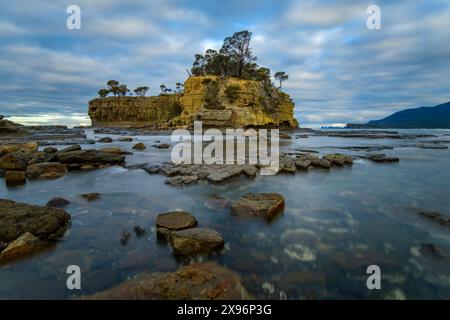 Australie, Tasmanie, Eaglehwk Neck, Forestier Peninsula, trottoir en mosaïque Banque D'Images