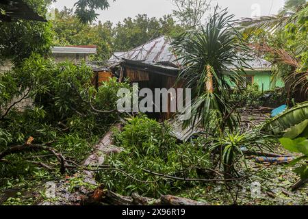 Laguna, Calabarzon, Philippines. 28 mai 2024 : une maison philippine écrasée par des mangues et des arbres Kapok, le plus grand tronc à 1m du berceau du bébé endormi. Le typhon Ewiniar (nom philippin Aghon) a laissé derrière lui au moins 7 morts, des centaines de maisons endommagées et des milliers de personnes évacuées de leurs maisons. Cette première tempête de 2024 est venue après des mois de chaleur brûlante provoquée par le phénomène long El Nino. Prévue depuis trop longtemps comme dépression tropicale par PAGASA (pH Weather), son intensité a surpris de nombreux Philippins non préparés, causant beaucoup de destructions et de dégâts. Crédit : Kevin Izorce/Alamy Live News Banque D'Images