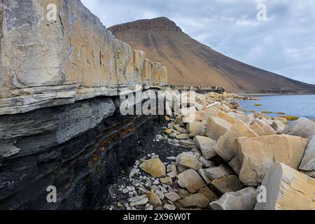 Érosion côtière montrant un rivage en ruine le long de la côte rocheuse de Boltodden en été, Kvalvågen, Svalbard / Spitzberg, Norvège Banque D'Images