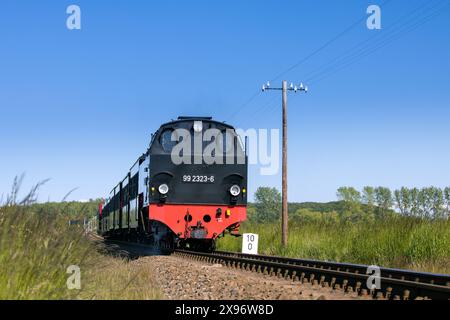 Locomotive Molli Orenstein & Koppel 99. 2323-6 sur le chemin de fer à voie étroite entre Bad Doberan et Kühlungsborn, Mecklembourg-Poméranie occidentale, Allemagne Banque D'Images